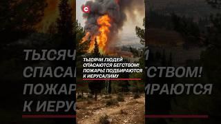 Пожары охватили Израиль! #израиль #пожары #чп #иерусалим #новости #политика #катаклизм #катастрофа