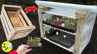 TECHNIQUE to Speed up your Planting: Mini Greenhouse
