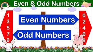 Even & Odd Numbers | Learning Even And Odd Numbers | Even , Odd Number Maths Concept for Kids