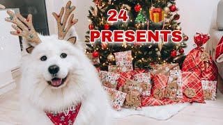 I Surprise My Dog With 24 Presents Until Christmas | VLOGMAS WEEK 1