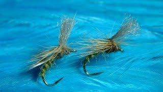 Tying an Emerger Caddis (Grannom) by Davie McPhail.