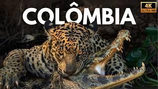 COLÔMBIA SELVAGEM- Os Guardiões do Equilíbrio Natural | Documentário Completo