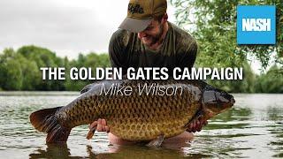 Mike Wilson - The Golden Gates Campaign