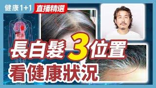 長白髮3位置，看健康狀況 | 健康1+1 · 直播精選
