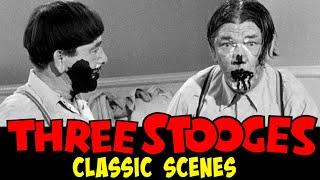 The THREE STOOGES classic scenes - Shemp and Moe Shaving