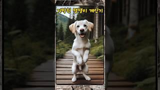 댕댕이 개인기 #shorts