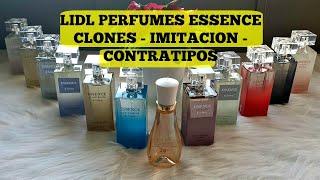 LIDL PERFUMES CLONES ,  Imitacion, Essence by Suddenly contratipos   Novedades