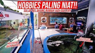 HOBBIES PALING NIAT!!! MEGATANK, KOLAM IKAN DAN PULUHAN AQUARIUM UNTUK IKAN PREDATOR LANGKA GUYS