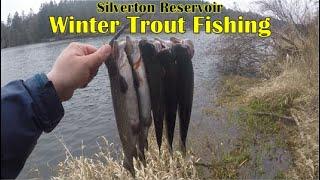 Winter Trout Fishing in Oregon | Insane Bite & Quick Limits of Rainbow Trout | Silverton Reservoir