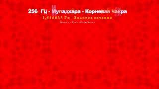 Муладхара. Умение не попадать под влияние окружающих. Мир даст Вам все, что нужно.