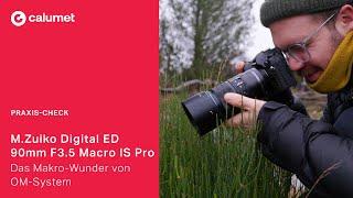 M.Zuiko Digital ED 90mm F3.5 Macro IS Pro – Das Makro-Wunder von OM-System im Praxis-Test