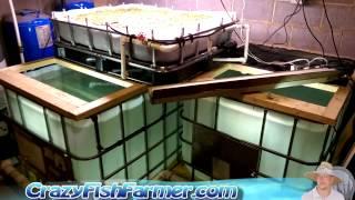 Indoors Small Scale Tilapia Aquaculture Farm Part 2