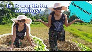 Amputee girl explores rice field café in rural area |Reisfeldkaffee |Amputee woman 2019