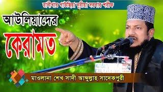 অলী আউলিয়ার ওয়াজ | Sheikh Sadi Abdullah Waz | মাওলানা শেখ সাদী আব্দুল্লাহ সাদেকপুরী | Fahim HD