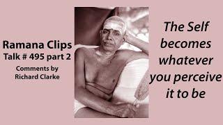 The Self becomes whatever you perceive it to be - Ramana Clips Talk # 495 part 2