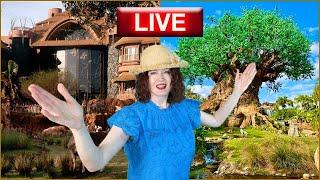 Disney's Animal Kingdom Lodge & Disney's Animal Kingdom | Walt Disney World Live | Disney Livestream