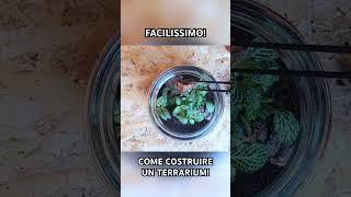 Come costruire un semplicissimo terrarium!