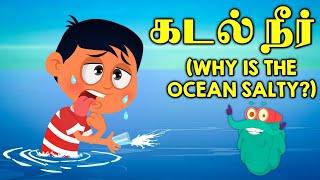 கடல் நீர் ஏன் உப்பாக இருக்கிறது | Why Is Ocean Water Salty | Kids Learning Video | Dr. Binocs Tamil