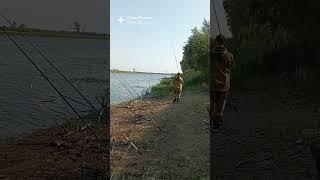 Опять рыбка обманула ))