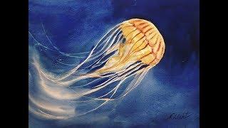 Jellyfish watercolor time lapse