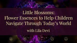 Little Blossoms: Flower Essences to Help Children with Lila Devi (excerpt)