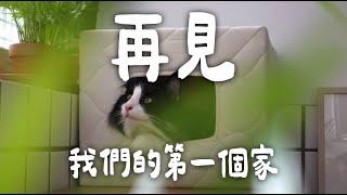 我和那堤搬家了 EP130