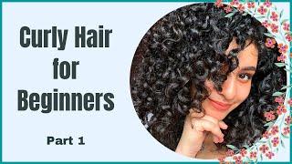 Curly Hair Basics - Part 1 of 2 | Desicurly | How I started