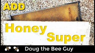 How and When to Add Honey Supers During the Honey Harvest Season