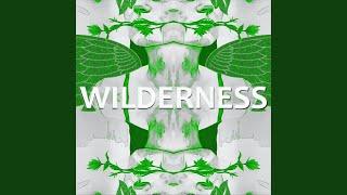 Wilderness (feat. Four Leaf Funk & Acaymo)