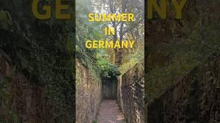 Summer in Germany 