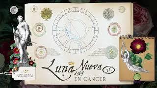 LUNA NUEVA EN CANCER 5 Julio 2024 Volver a La luz SERENDIPIA Y ELEVACION