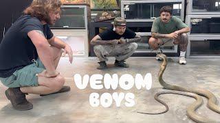 TOP 3 Most VENOMOUS SNAKES in THE WORLD @ChandlersWildLife