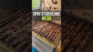 #приготовление #пчеловодство #пчелопродукты