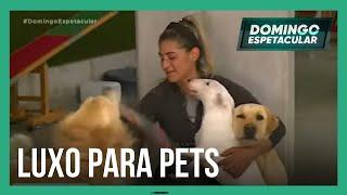 Mari Weickert conhece hotel de luxo para pets em Portugal