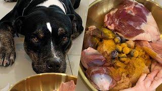 Oli The Pit Bull eatsRAW FOOD หมากินดิบ [ASMR]MUKBANG[咀嚼音] อาหารหมาที่แท้จริง EP.072 of 2024