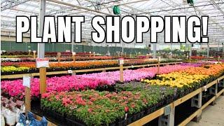  PLANT SHOPPING || Garden Nursery Tour - Green Acres || Garden Center || Plant Nursery Tour