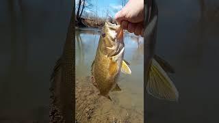 Saturday morning creek fishing surprise in Kentucky!