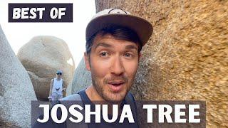 Best of Joshua Tree: 7 Spots in 1 Day