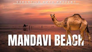 Mandavi Beach trip ️| Travel Vlog 8 | Perfect gateway in Kutch |VersatileBoys #travel #beach #trip