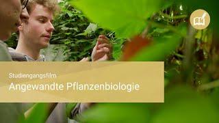 Angewandte Pflanzenbiologie – Gartenbau, Pflanzentechnologie an der Hochschule Osnabrück studieren