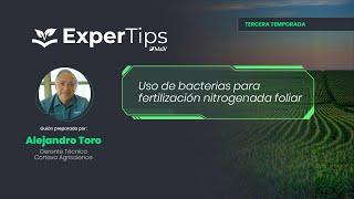 Expertips: Uso de bacterias para la fertilización nitrogenada foliar