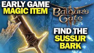 BALDUR'S GATE 3 - Find The Sussur Bark and Finish The Masterwork Weapon (Early Game Magic Item!)