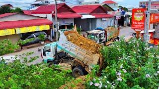 Incredible Project Landfill Flooded forestry ! Bulldozer Komat'Su D20p Push Stone ,Truck Unloading