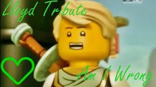 LEGO Ninjago | Lloyd Tribute | Am I Wrong 