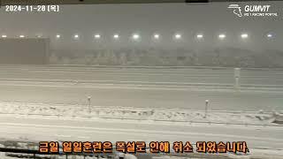 [서울 경마] 2024. 11. 28 (목) 폭설로 조교 취소