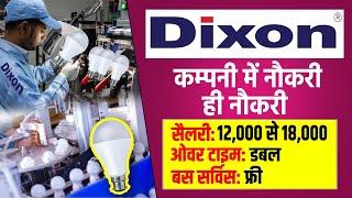 Dixon Company में जॉब कैसे पाए | How to Get Job In Dixon Company | Work from home | भर्ती