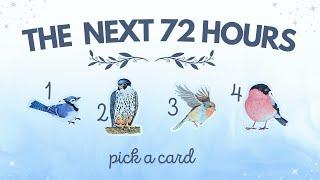  The Next 72 Hours! Predictions!  | PICK A CARD Timeless Tarot Reading