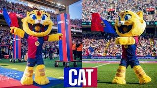 CAT DEBUTS AT ESTADI OLIMPIC | FC Barcelona 