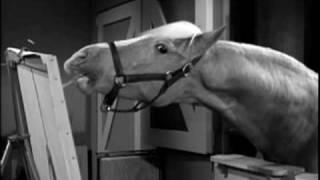 Mister Ed: Seasons 1 & 2 - DVD Trailer