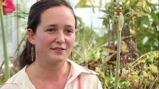 UNSW Biological Sciences Student Experience - Alicia Ryan